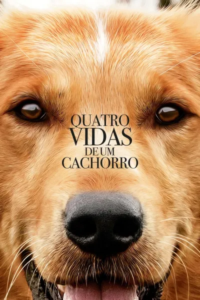 Legendas para o filme Quatro Vidas de um Cachorro