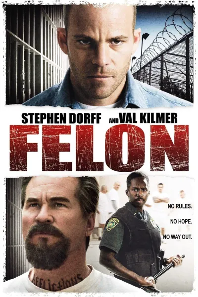 Legendas para o filme Felon