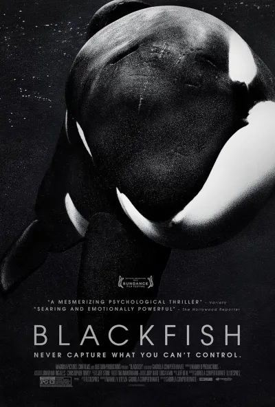 Legendas para o filme Blackfish: Fúria Animal